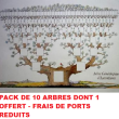 Pack de 10 arbres Rouge Gorge – Image 1